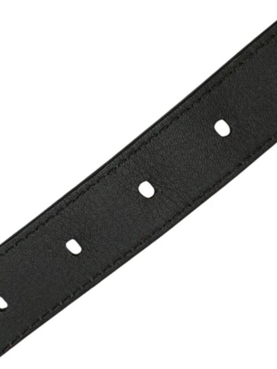 Louis Vuitton Mp021 Santure Belt Buckle Silver Leather Brown main image 2